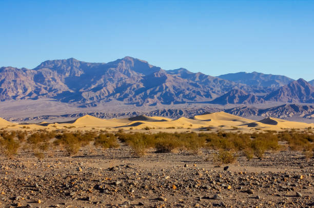 istock Mesquite Flat Sand Dunes - Death Valley National Park 1126014973