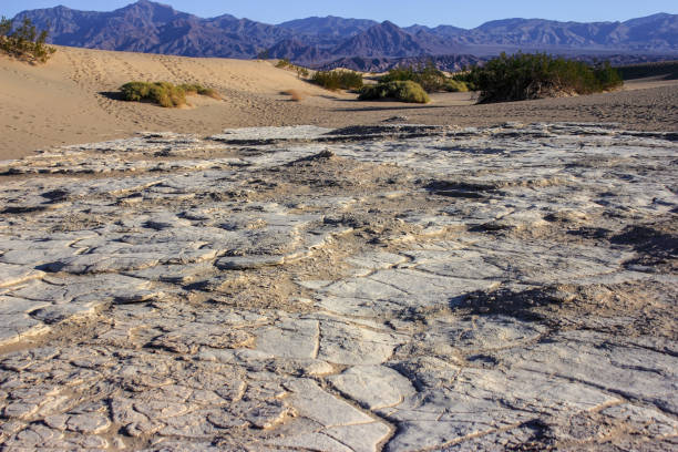 istock Mesquite Flat Sand Dunes - Death Valley National Park 1126014987
