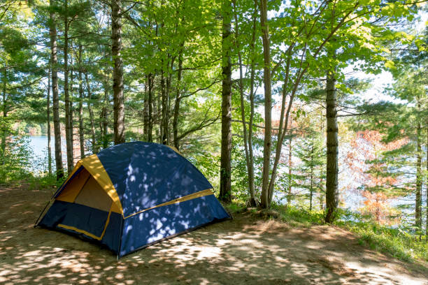 istock Camp site with tent in the morning 1126016014