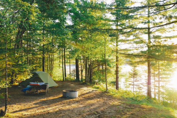 istock Camp site with tent in the morning 1126016061