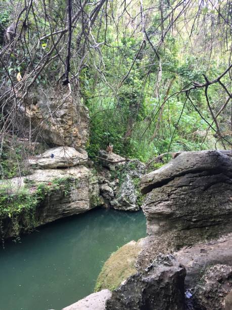 istock River in Puerto Rico 1126019323