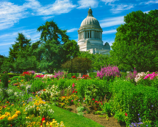 washington state capitol building y el jardín, olympia - olympia washington fotografías e imágenes de stock