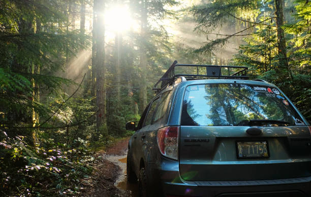 Marcola, Oregon, USA - December 8, 2018: A Subaru Forester modified for offroad use on a muddy Bureau of Land Management road through a western Oregon temperate rainforest