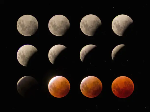 Captured in Melbourne composed of several photos depicting the lunar eclipse