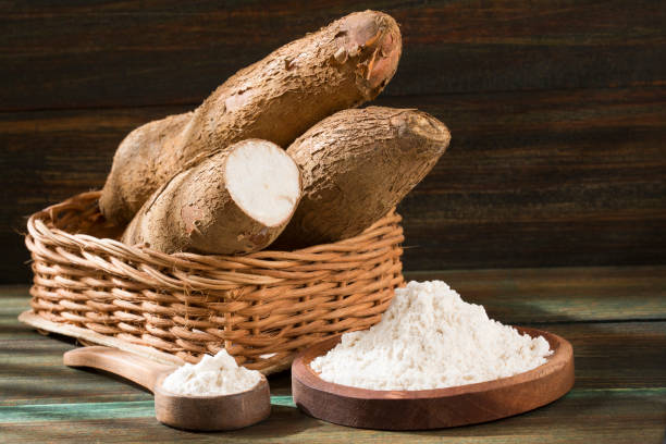Raw cassava starch - Manihot esculenta. Wooden background Raw cassava starch - Manihot esculenta. Wooden background mandioca stock pictures, royalty-free photos & images