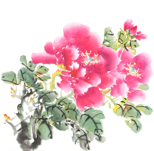 istock peony flower,Traditional chinese ink painting. 1126027086