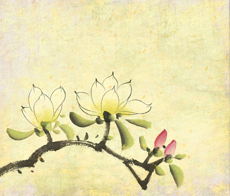 Watercolor branches of pink magnolia,Traditional chinese ink painting