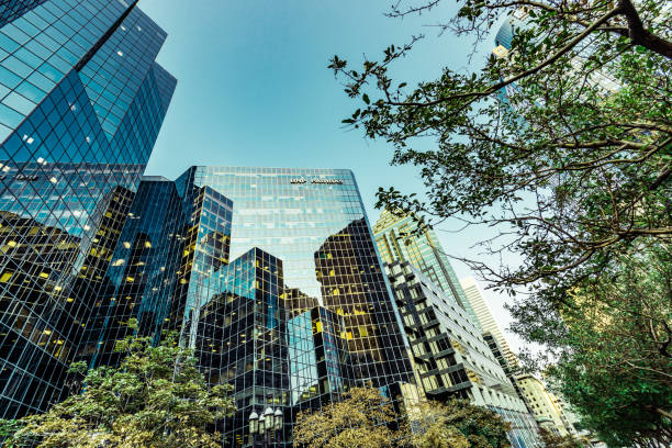 edifícios de escritórios, entre árvores verdes - trees urban - fotografias e filmes do acervo