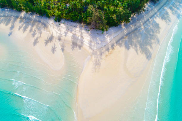 istock Aerial view Idyllic white sand sea beach turquoise water 1126028062