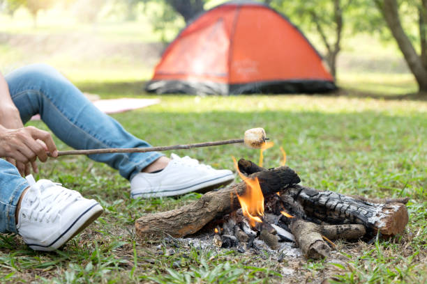 istock roasted sweet on fire in camping in the nature camp 1126032272