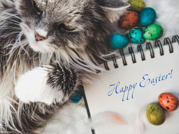 istock Easter eggs painted with bright colors and a charming kitten 1126035425