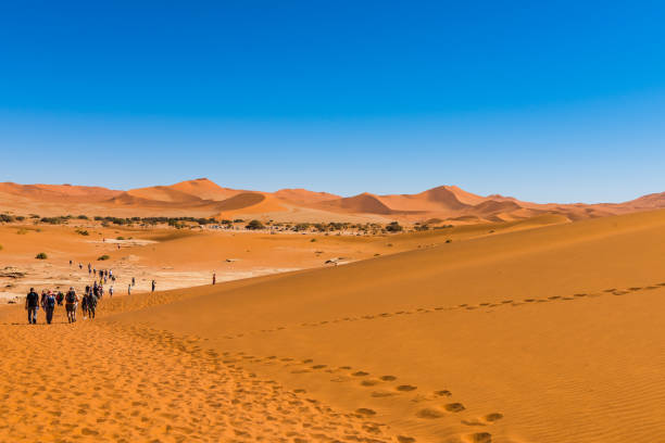 istock Visitors returning to busses, Sossousvlei, 1126036257