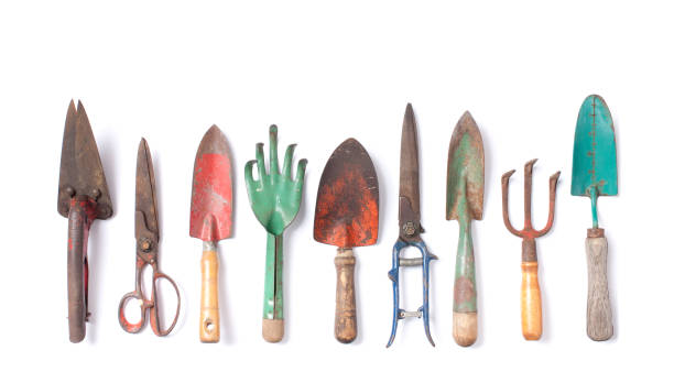 collection d’outils de jardin vintage isolée sur blanc - trowel shovel gardening equipment isolated photos et images de collection