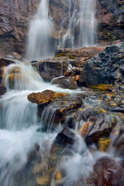 jasper national park in alberta canada - tangle falls imagens e fotografias de stock