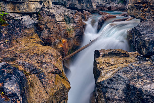 istock Jasper National Park in Alberta Canada 1126038702