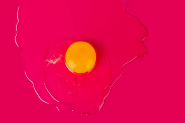 istock One broken white raw egg, yellow round yolk on pink or red background isolated close up top view, pin up design, abstract concept, Easter banner, creative art poster, vintage decoration, copy spaсe 1126039267