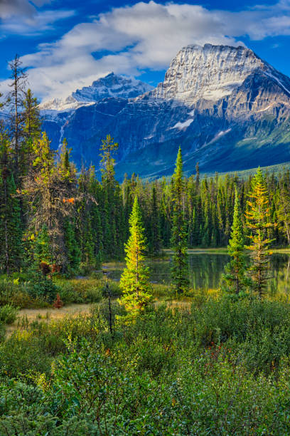 istock Jasper National Park in Alberta Canada 1126039281