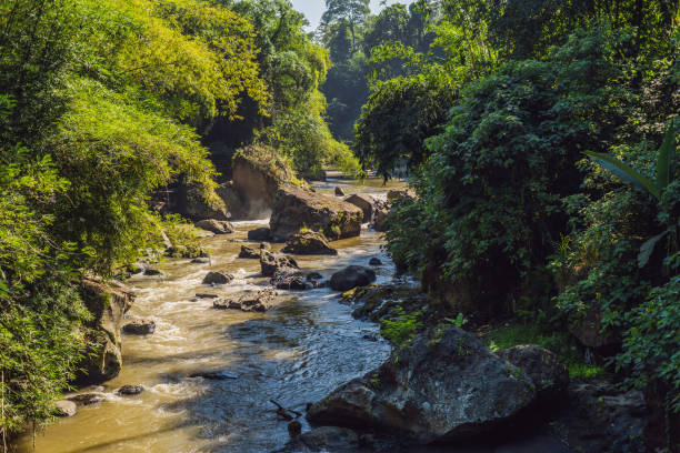 istock Beautiful river in the jungle, Bali 1126039463