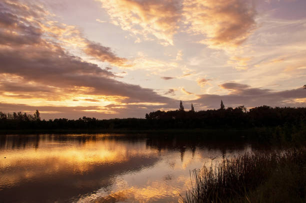 istock View of lake 1126041337