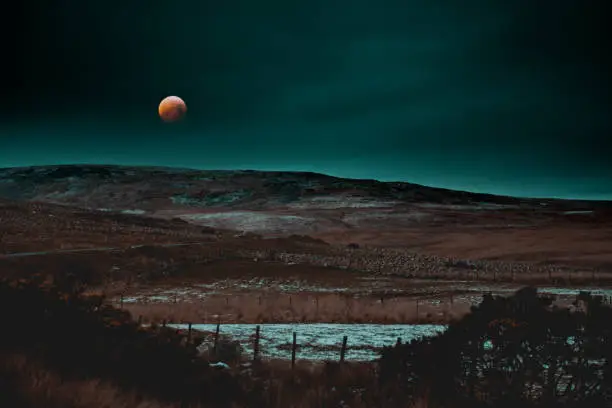 An empty bare landscape with a full wolf blood moon