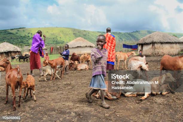 Vista De La Aldea Masai Al Norte De Tanzania Foto de stock y más banco de imágenes de Pueblo Masái - Pueblo Masái, Aldea, Tanzania