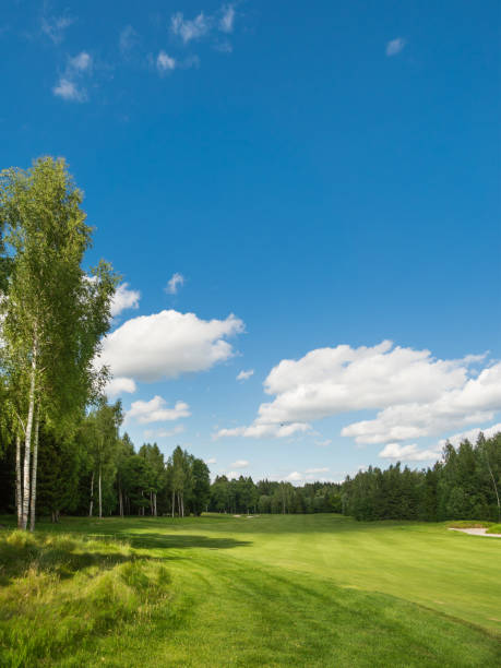 istock Countryside golf course. Green cutted grass on field, forest and blue sky. Cloudscape in sunny day. Russia. 1126050203