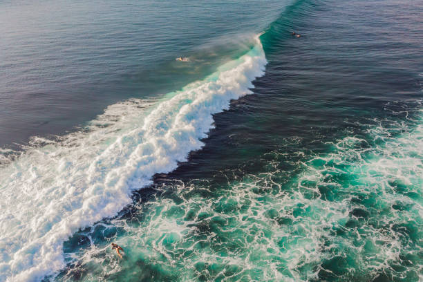 istock Surfers on the waves in the ocean, top view 1126052316