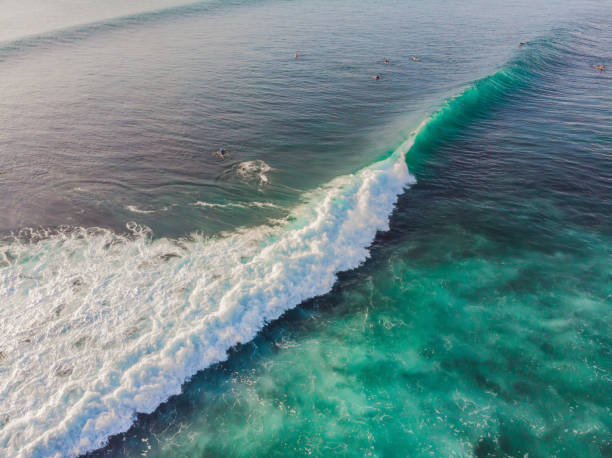 istock Surfers on the waves in the ocean, top view 1126052363