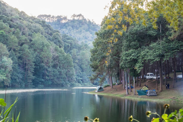 istock Viewpoint tourists camping in pine forest on reservoir at evening 1126052658