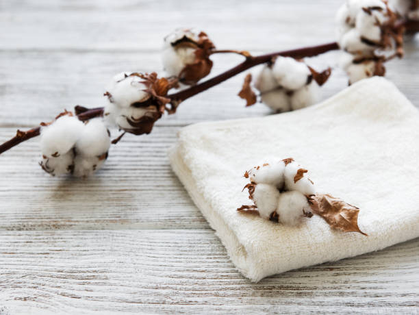 istock cotton flower and towel 1126053338