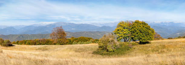 istock Dry Meadow on Top of a Hill 1126057409