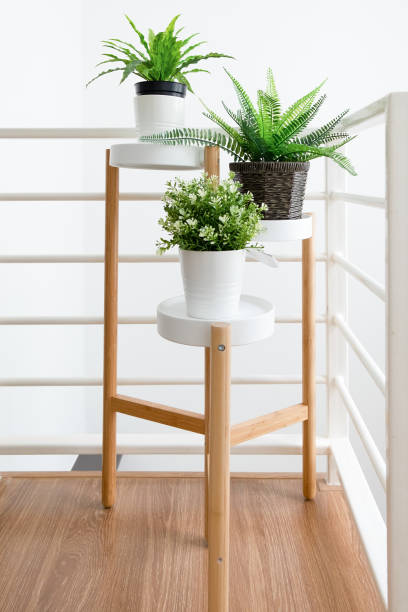 Artificial plants in white pot on modern table and white wall background. Interior design for decoration home.