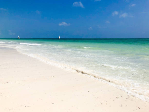 istock Sandy Coastline on Zanzibar in Africa 1126058312