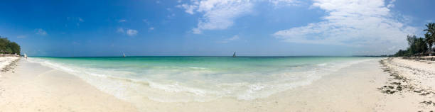 istock Sandy Coastline on Zanzibar in Africa 1126058318