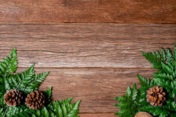 istock Tropical green leaf with pine on wooden background, backdrop and border, Top view with Copy space. 1126059069