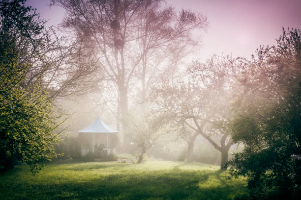 An image of a pavilion in the garden mood