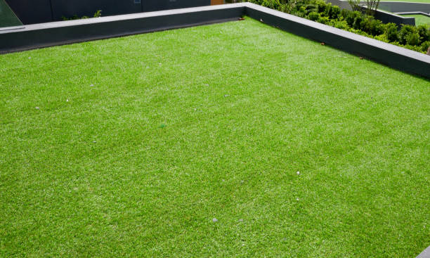 istock green grass on roof terrace 1126062043