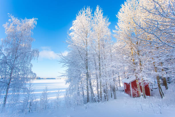 istock Cold winter day landscape from Sotkamo, Finland. 1126062397