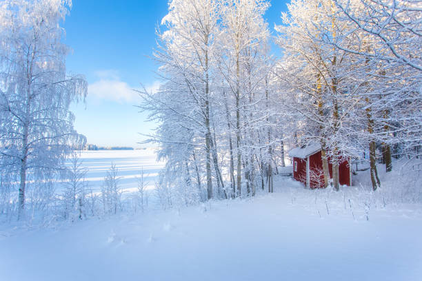 istock Cold winter day landscape from Sotkamo, Finland. 1126062428