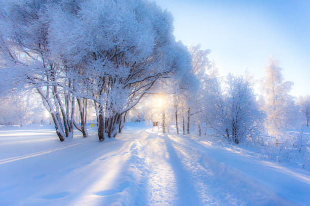 Cold winter day landscape from Sotkamo, Finland.