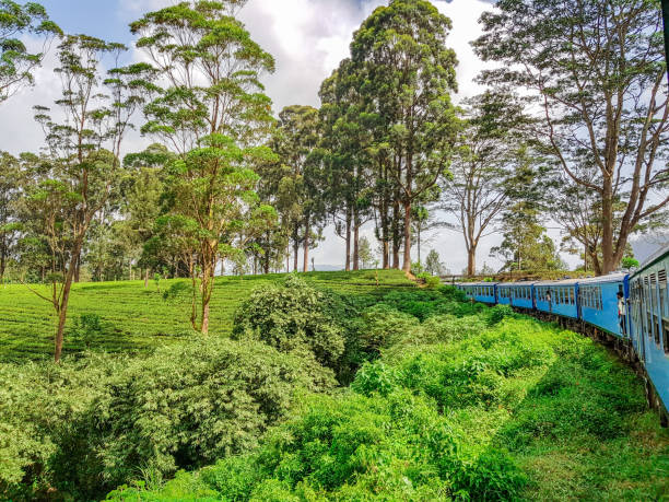 istock Scenic Train in Sri Lanka 1126063255