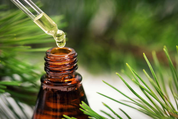 istock pine essential oil. liquid dripping from pipette to the bottle 1126065990