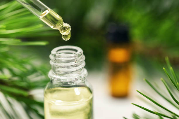istock pine tree needle essential oil dripping from the dropper 1126065993
