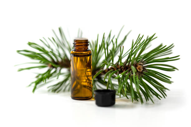 istock pine essential oil bottle and tree branch isolated on white background 1126066007