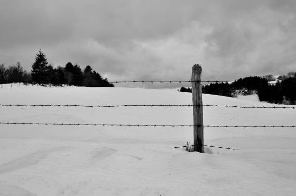 istock winter landscape with snow and fence 1126066972