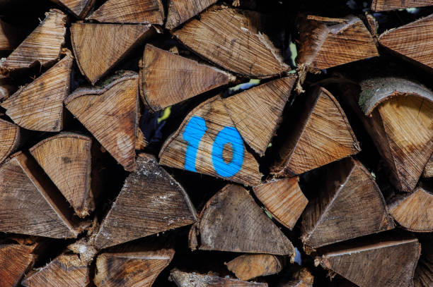 Logs of wood chopped in the wood, marked number ten.