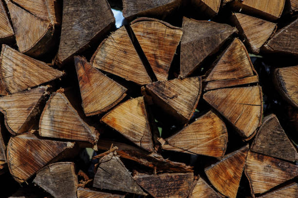 istock Logs of wood, 1126067538