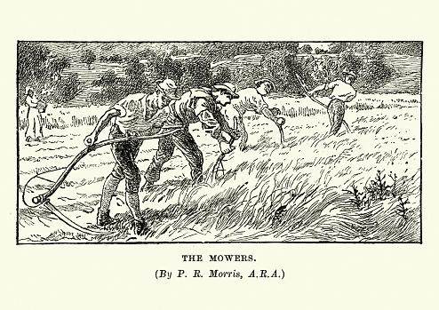 Vintage engraving of Victorian farm workers mowing a field with a scythe, 19th Century