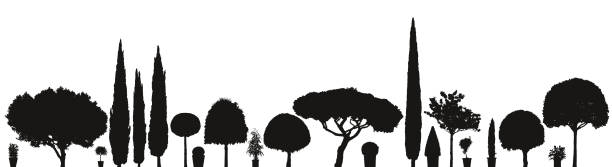 様々 なベクトルの木や植物 - cypress tree illustrations点のイラスト素材／クリップアート素材／マンガ素材／アイコン素材