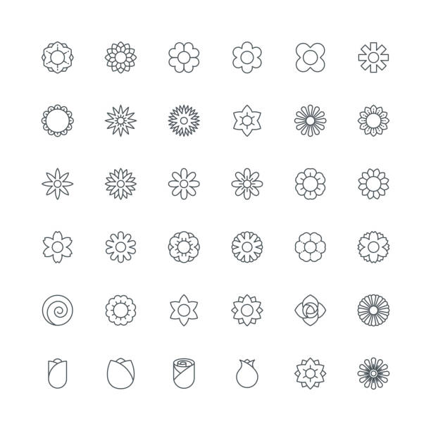 blume-symbole - daisy sunflower stock-grafiken, -clipart, -cartoons und -symbole